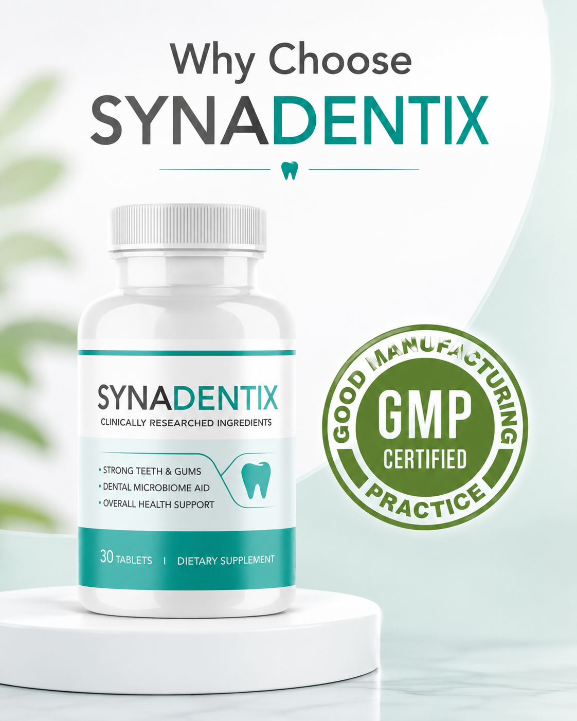 Synadentix GMP quality reference